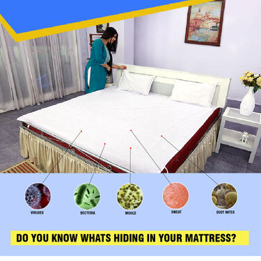 Double Bed Mattress Protector Sheet with 2 Pillow Protector