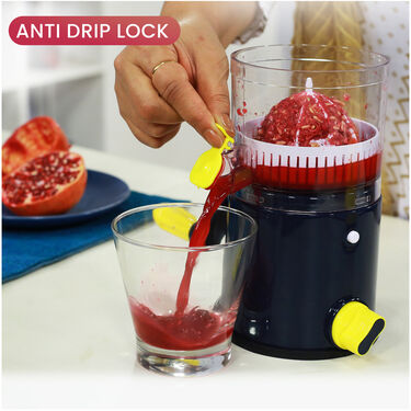 Fruit Juicer - Extract Maximum Juicer (FJ2)